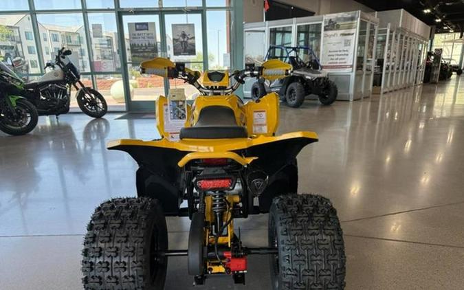 2026 Denago Powersports Trailhawk 10FI