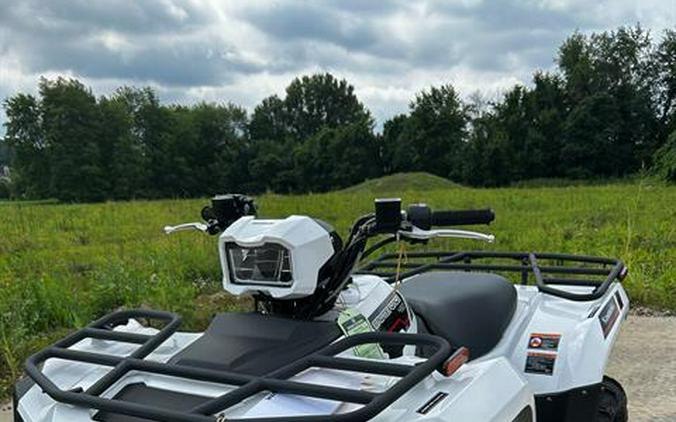 2025 Kawasaki Brute Force 450 4x4