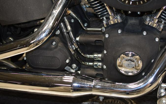 2009 Harley-Davidson Night Train FXSTB