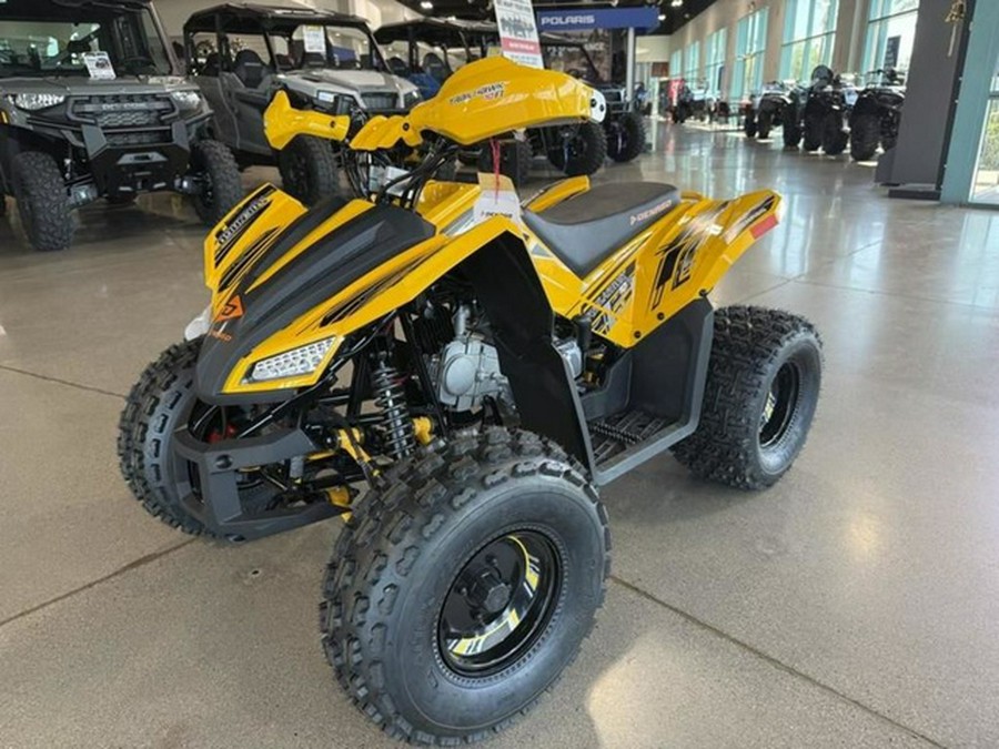 2026 Denago Powersports Trailhawk 10FI
