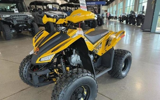 2026 Denago Powersports Trailhawk 10FI