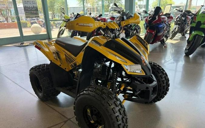 2026 Denago Powersports Trailhawk 10FI