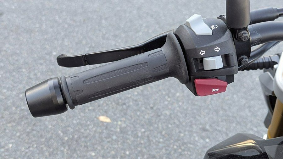 2025 BMW G 310 R Style Passion