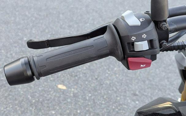 2025 BMW G 310 R Style Passion