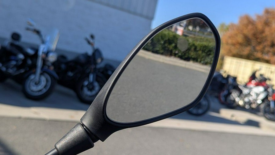 2025 BMW G 310 R Style Passion