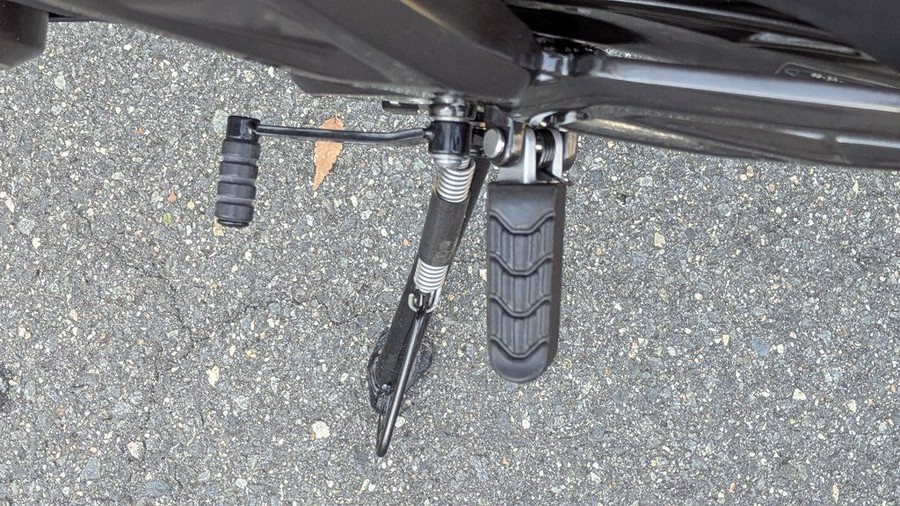 2025 BMW G 310 R Style Passion