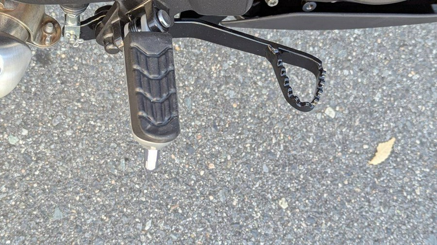 2025 BMW G 310 R Style Passion