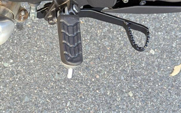 2025 BMW G 310 R Style Passion