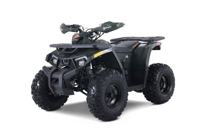 2026 Denago Powersports Mudhawk 10FI