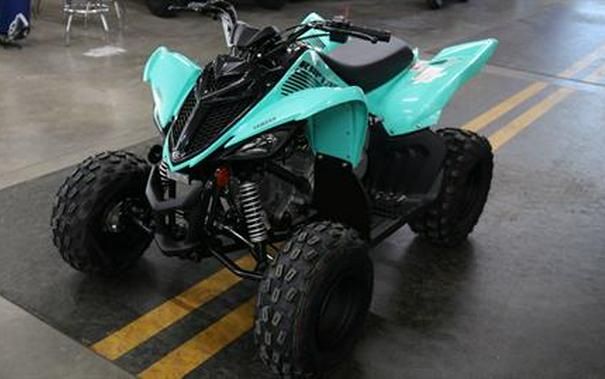 2024 Yamaha Raptor 110