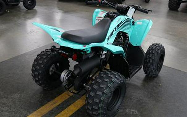 2024 Yamaha Raptor 110