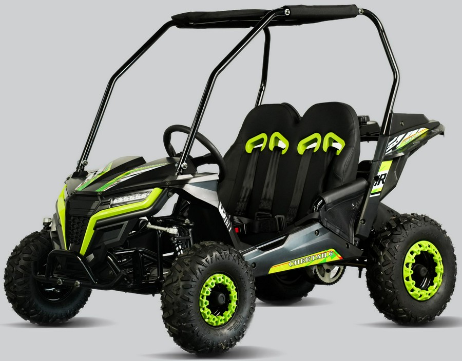 2026 Trail Master Cheetah 6