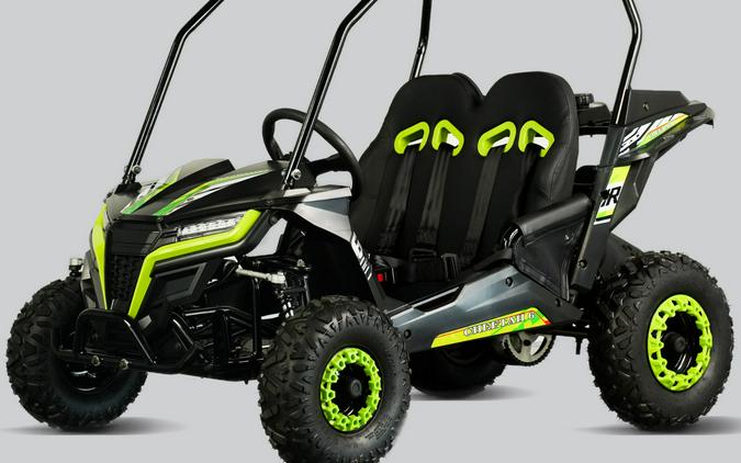 2026 Trail Master Cheetah 6
