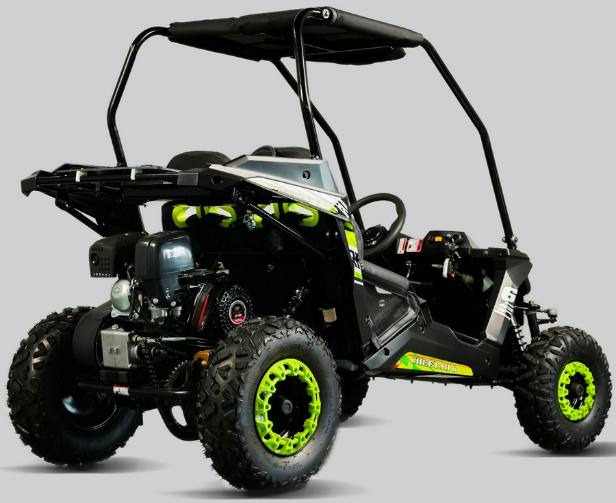 2026 Trail Master Cheetah 6