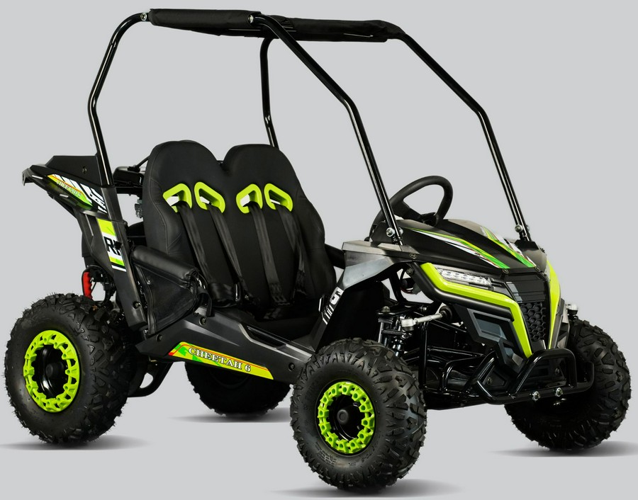 2026 Trail Master Cheetah 6