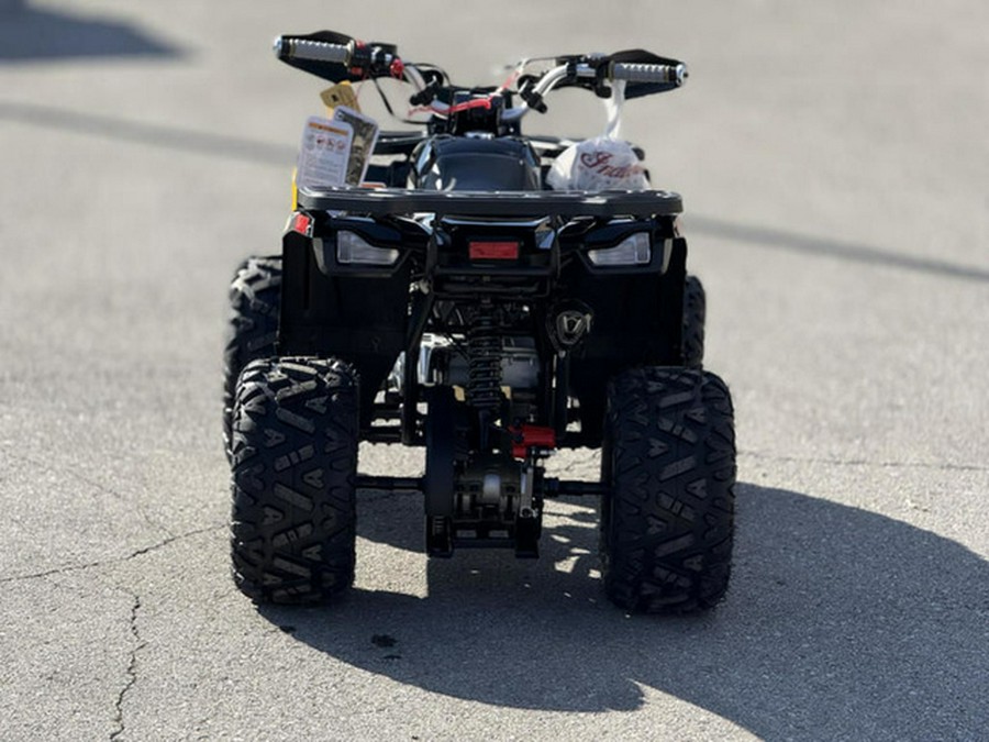 2026 Denago Powersports Mudhawk 10FI