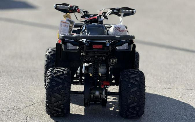 2026 Denago Powersports Mudhawk 10FI
