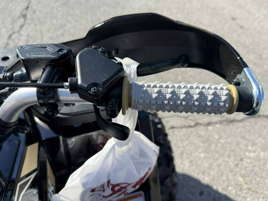 2026 Denago Powersports Mudhawk 10FI