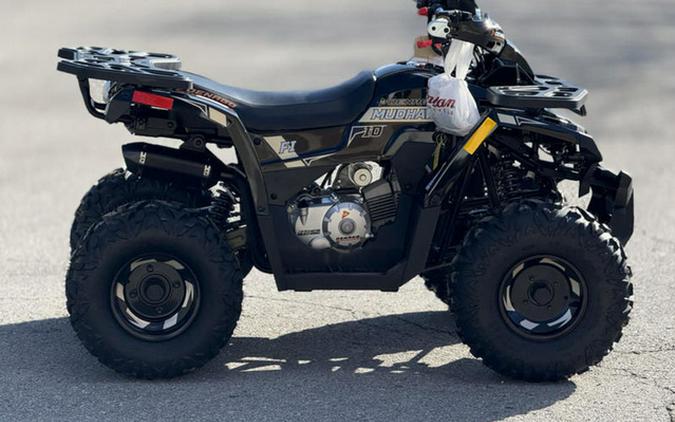 2026 Denago Powersports Mudhawk 10FI