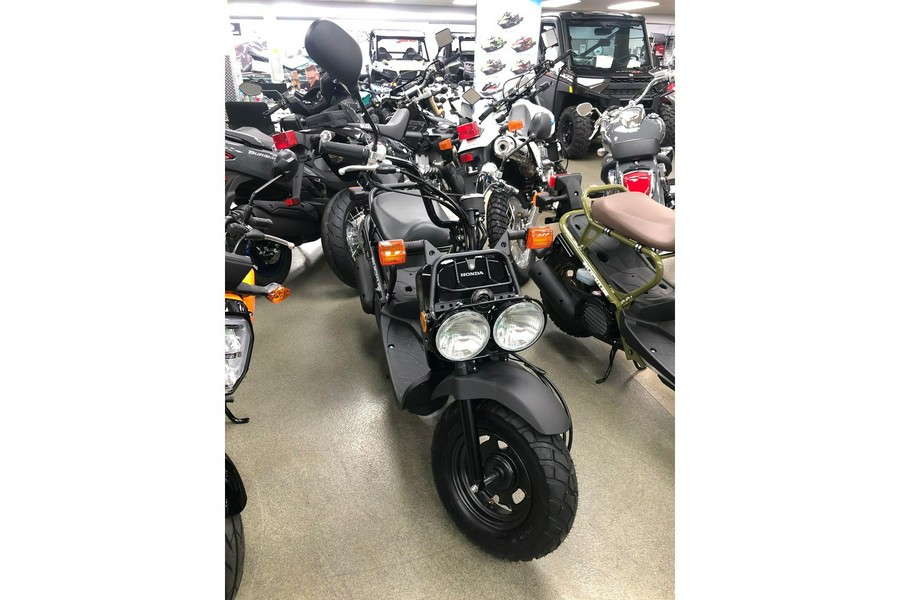 2024 Honda RUCKUS