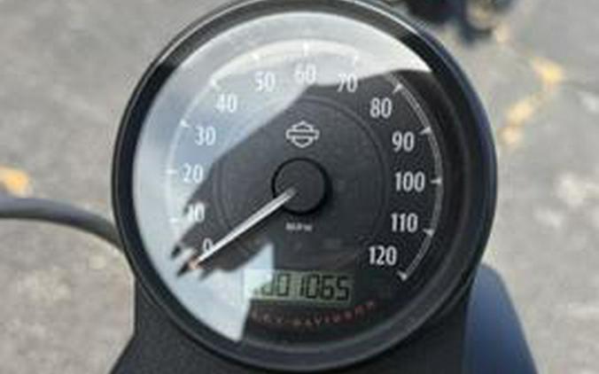 2021 Harley-Davidson Iron 883™