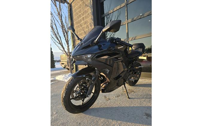 2024 Kawasaki Ninja® 500 Base