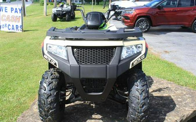 2023 Arctic Cat Alterra 300