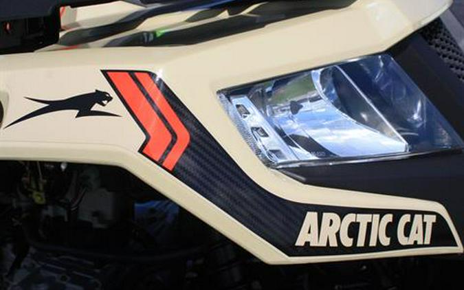 2023 Arctic Cat Alterra 300