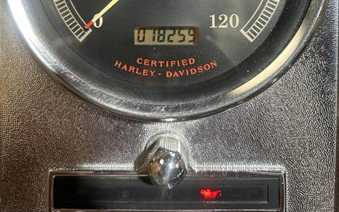 2002 Harley-Davidson FXST/FXSTI Softail® Standard