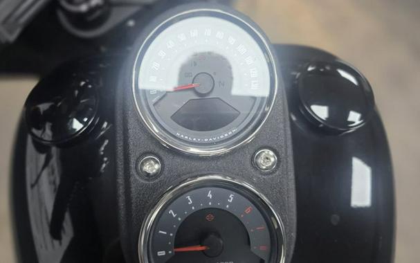 2020 Harley-Davidson Softail Low Rider S