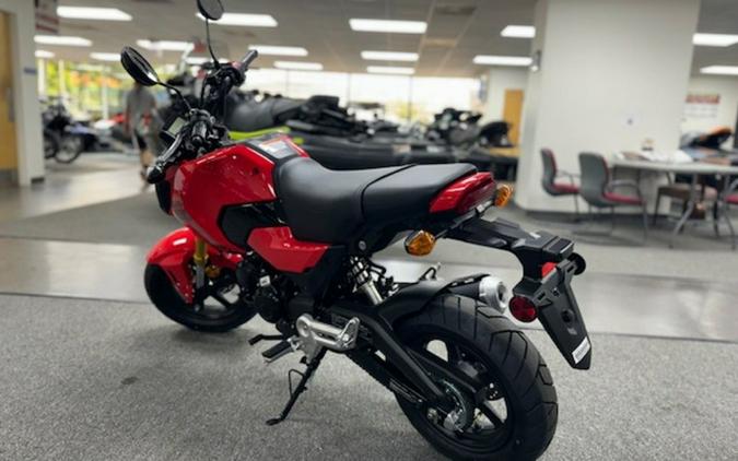 2025 Honda Grom