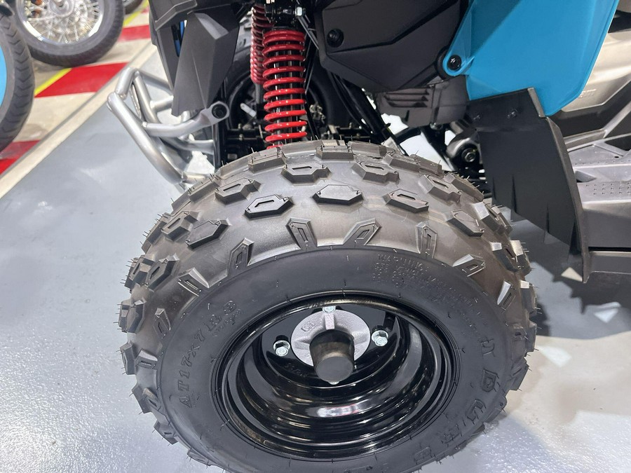 2026 Can-Am RENEGADE 70 EFI