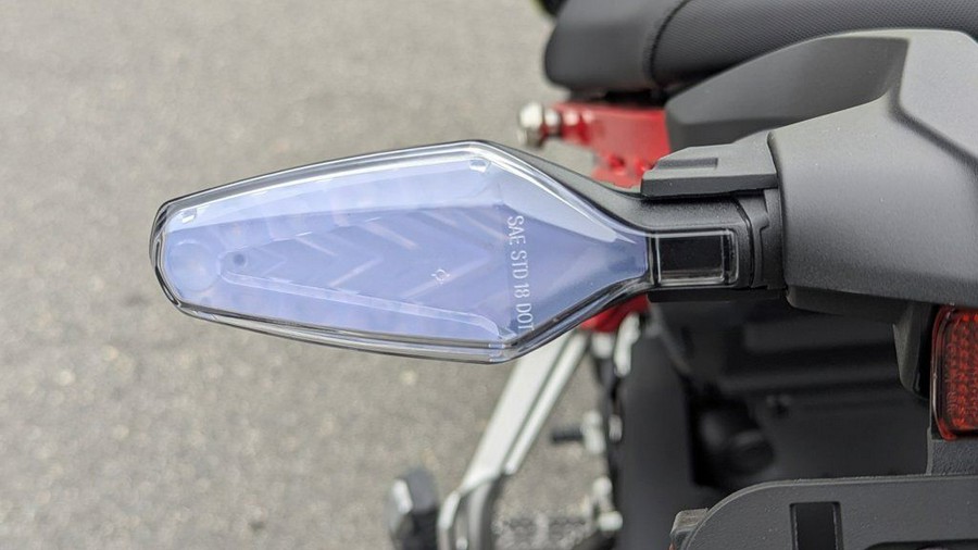 2025 BMW F 900 GS Passion