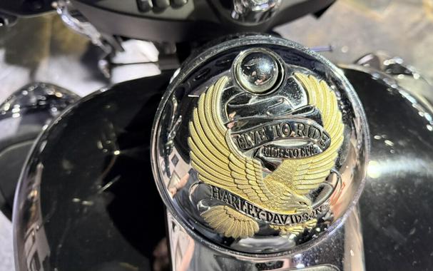 2014 Harley-Davidson® Tri Glide® Ultra