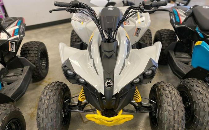 2026 Can-AM Renegade 110 EFI