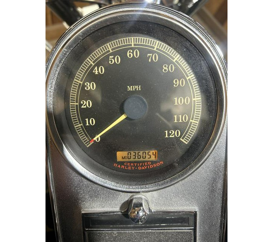 2006 Harley-Davidson Softail® Standard