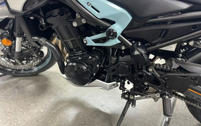 2025 Kawasaki Z900 ABS Galaxy Silver/Metallic Spark Black