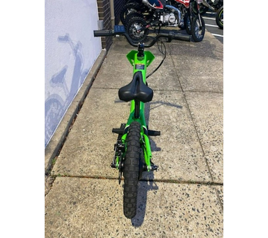 2024 Kawasaki Elektrode™