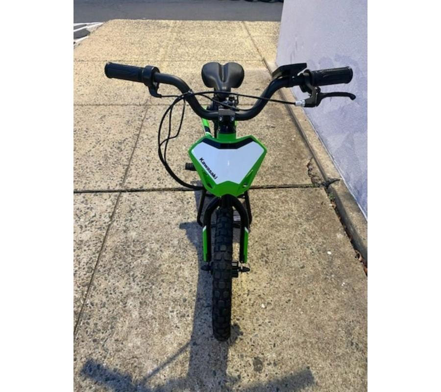 2024 Kawasaki Elektrode™