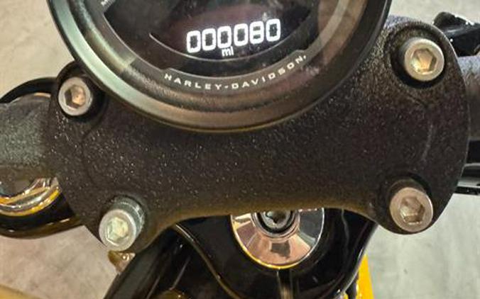 2025 Harley-Davidson Street Bob®