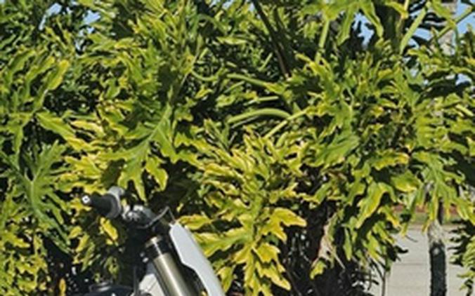 2026 Triumph TF 450-X Jet Black/Pure White 450-X