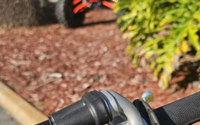 2026 Triumph TF 450-X Jet Black/Pure White 450-X