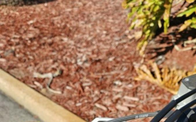 2026 Triumph TF 250-X Jet Black/Pure White 250-X