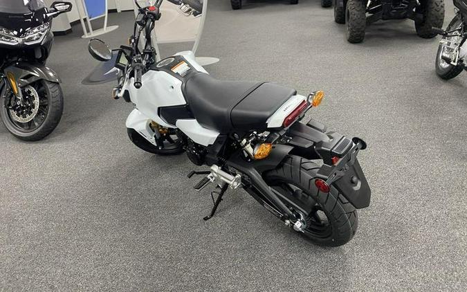 2025 Honda® MSX125S