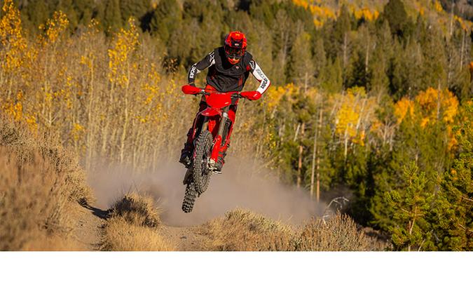2026 Ducati Desmo450 EDX