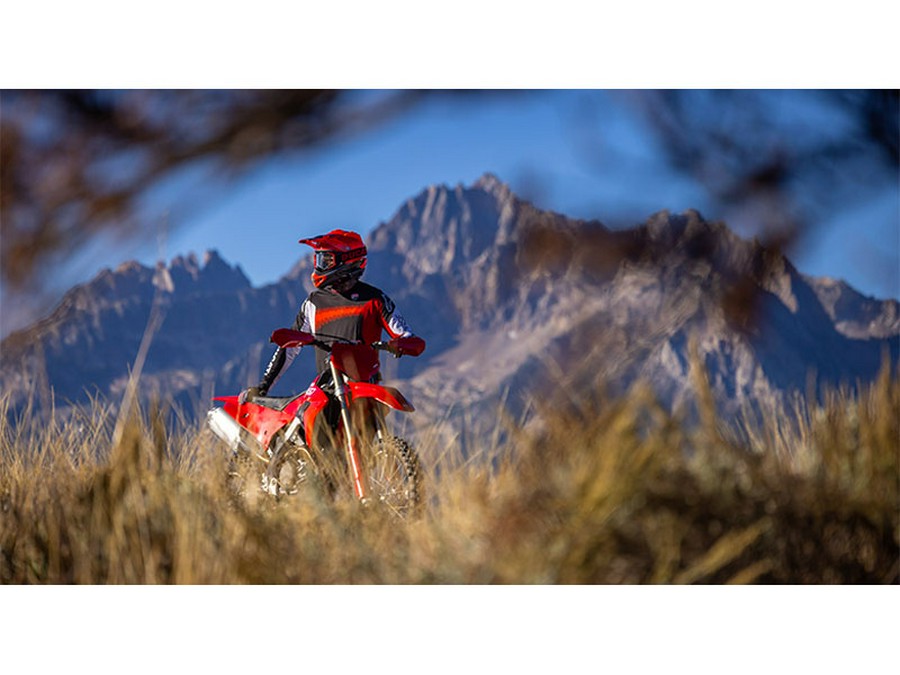 2026 Ducati Desmo450 EDX