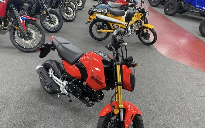 2025 Honda® MSX125S