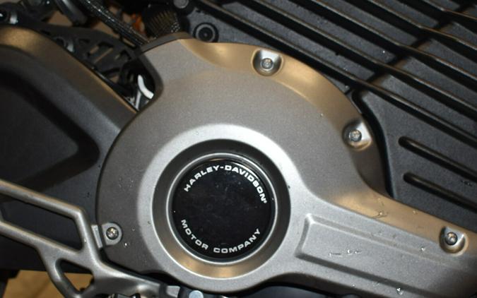 2024 LiveWire 2024 LiveWire S2 Del Mar S2DM