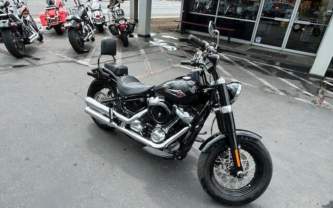 FLSL 2020 Softail Slim®