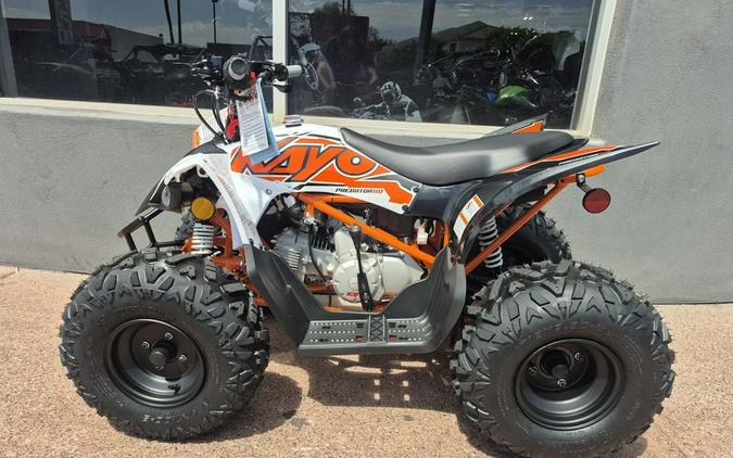 2025 Kayo 110 Predator